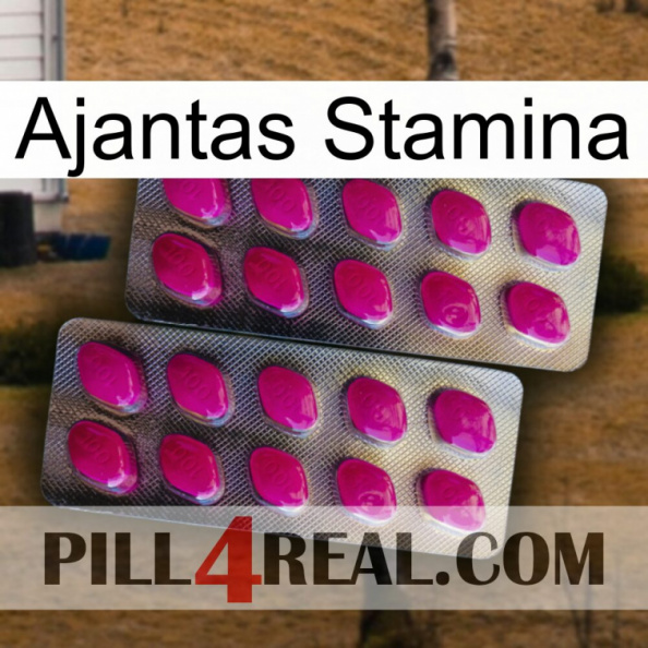 Ajantas Stamina 10.jpg